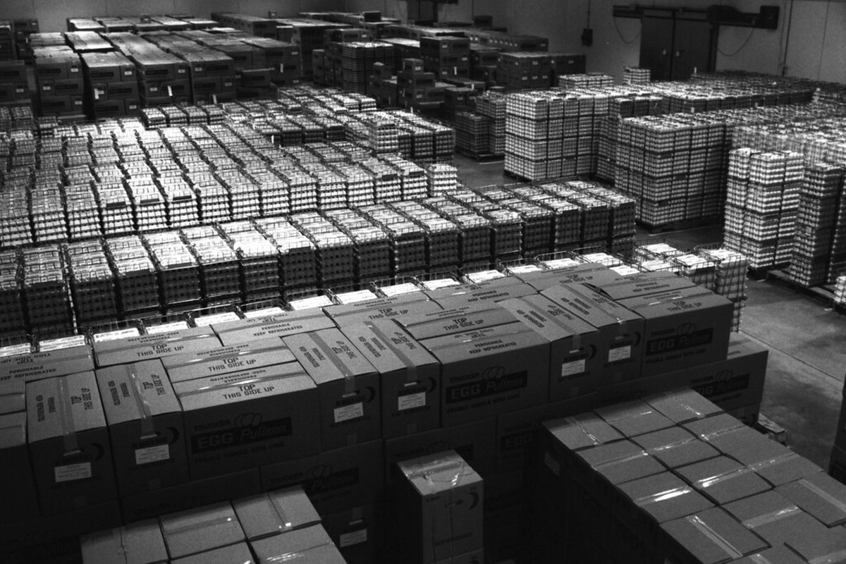Mono-Material Packaging: A Practical Guide for Recyclable Product Boxes
